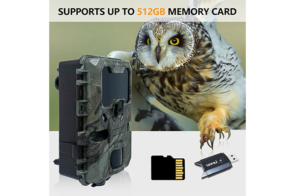 2024 Photo And Video Wildlife Game Hunting PIR Infrared Night Vision CMOS Sensor Motion Sensor Camera OEM/ODM