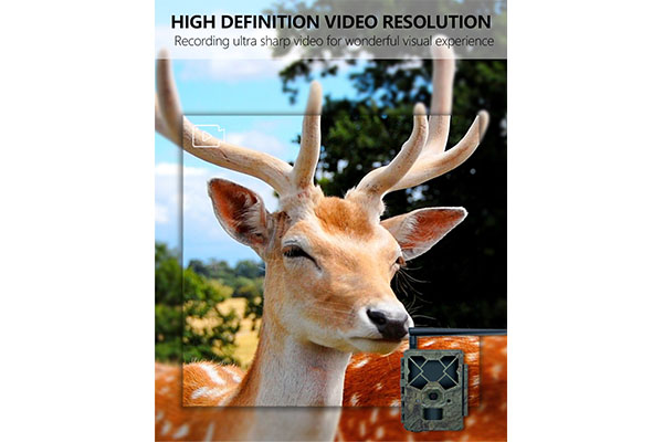 2024 Cost-Effective Wireless 4G Trail Camera With Esim Card APP Remote Control Long Working Time WIFI Wildlife Camera OEM/ODM