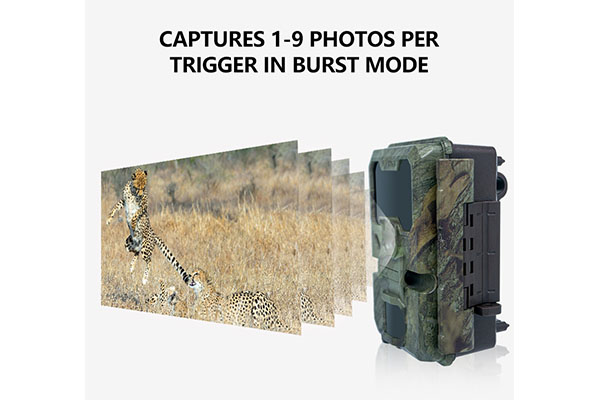 2024 4K WiFi Trail Camera Support APP Waterproof Outdoor WIFI Animal Hunting Trail Video Trap Wild Camera OEM/ODM