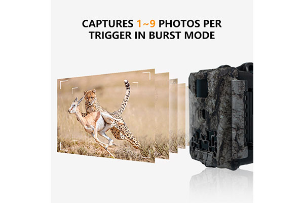 2024 Mini Wildlife Trail Camera 30MP 0.25s Speed Video Resolution Waterproof CMOS Sensor SD Memory