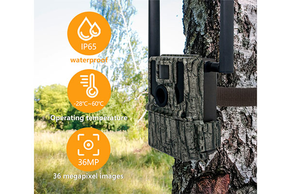 2024 36MP Wireless Trail Camera 2K Video Resolution GSM 4G Network SIM Card Remote Control Waterproof CMOS Sensor SD Memory Hunting Camera OEM/ODM