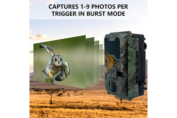 2024 Photo And Video Wildlife Game Hunting PIR Infrared Night Vision CMOS Sensor Motion Sensor Camera OEM/ODM