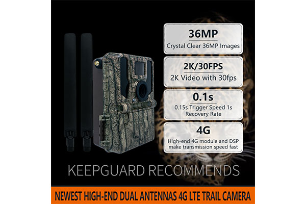 2024 36MP Wireless Trail Camera 2K Video Resolution GSM 4G Network SIM Card Remote Control Waterproof CMOS Sensor SD Memory Hunting Camera OEM/ODM