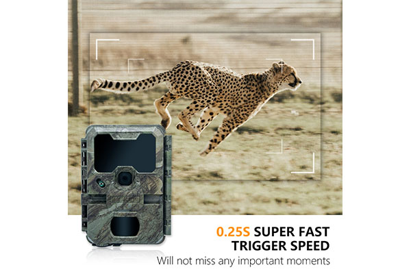 2024 Photo And Video Wildlife Game Hunting PIR Infrared Night Vision CMOS Sensor Motion Sensor Camera OEM/ODM