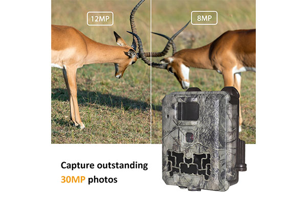 2024 Mini Wildlife Trail Camera 30MP 0.25s Speed Video Resolution Waterproof CMOS Sensor SD Memory