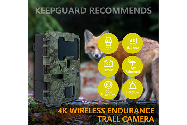 2024 4K WiFi Trail Camera Support APP Waterproof Outdoor WIFI Animal Hunting Trail Video Trap Wild Camera OEM/ODM