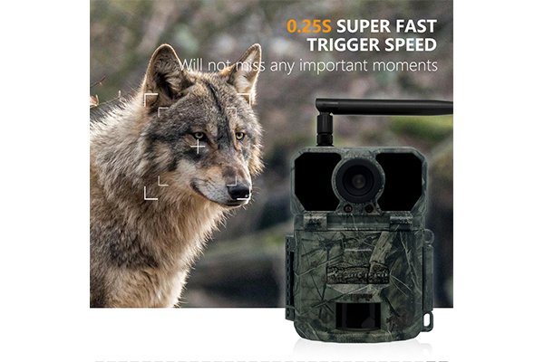 4G Wildlife Scouting Cam