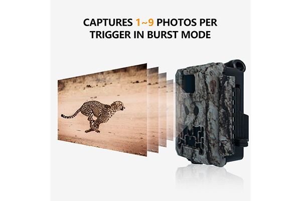 Trail Camera with Dual Lens