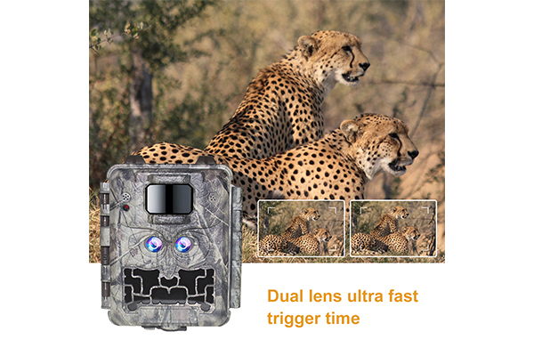 Trail Camera with Dual Lens