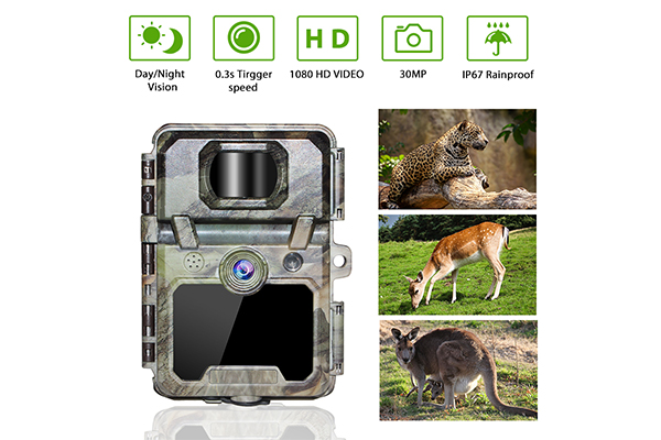 Mini Wildlife Scouting Cam