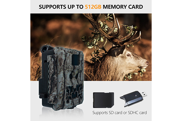 Trail Camera with Dual Lens