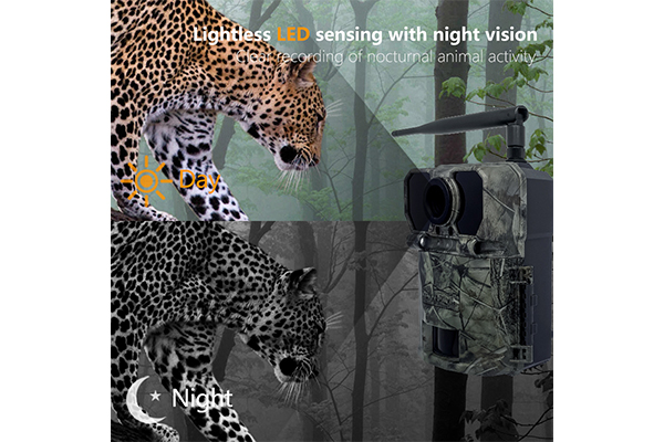 4G Wildlife Scouting Cam