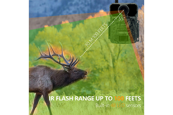 4G Wildlife Scouting Cam