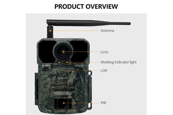 4G Wildlife Scouting Cam