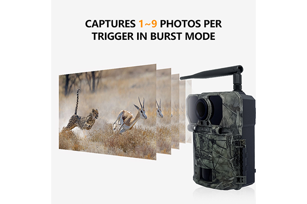 4G Wildlife Scouting Cam