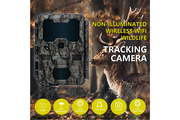 WIFI Wildlife Scouting Cam