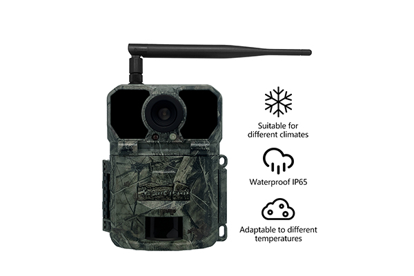 4G Wildlife Scouting Cam